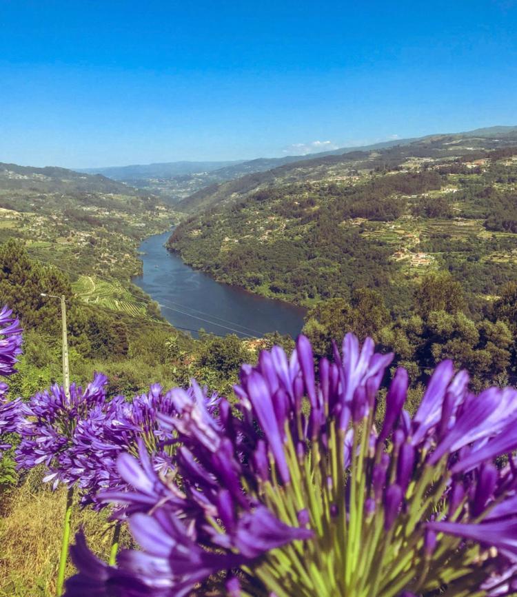 Mira Douro Valley Home Marco de Canavezes Exteriör bild